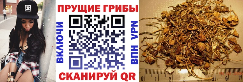 Галлюциногенные грибы Cubensis  Славск 